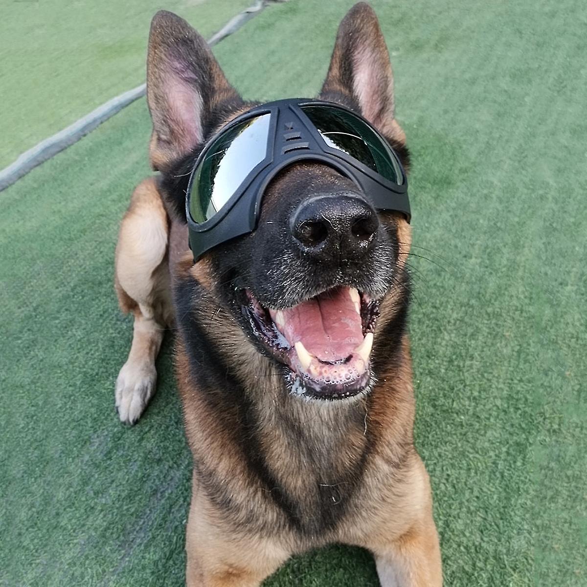 Dog Goggles Large Breed Dog Uv Sunglasses Windproof Snowproof Dog Glasses