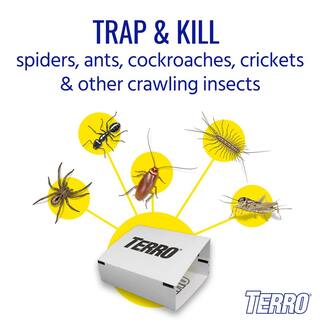 TERRO Non-Toxic Spider and Insect Trap (4-Count) T3206