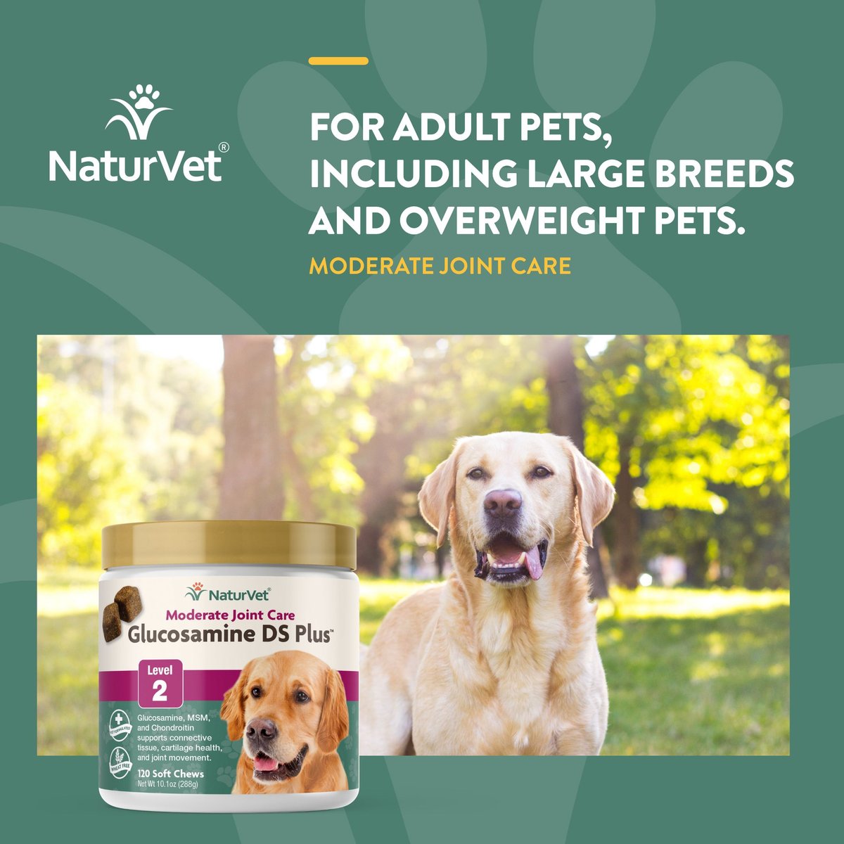 NaturVet Moderate Care Glucosamine DS Plus Soft Chews Joint Supplement for Cats and Dogs