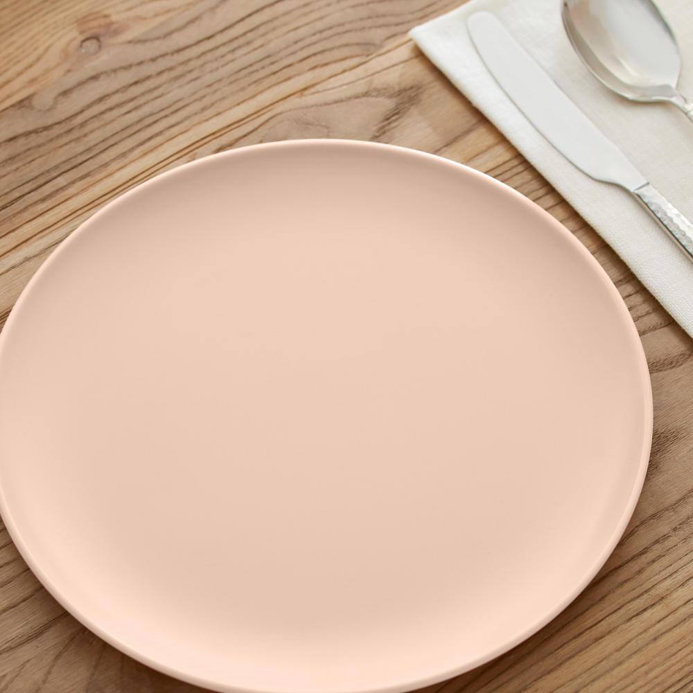 StyleWell Taryn Melamine Dinner Plates in Matte Aged Clay (Set of 6) AA5481ACL