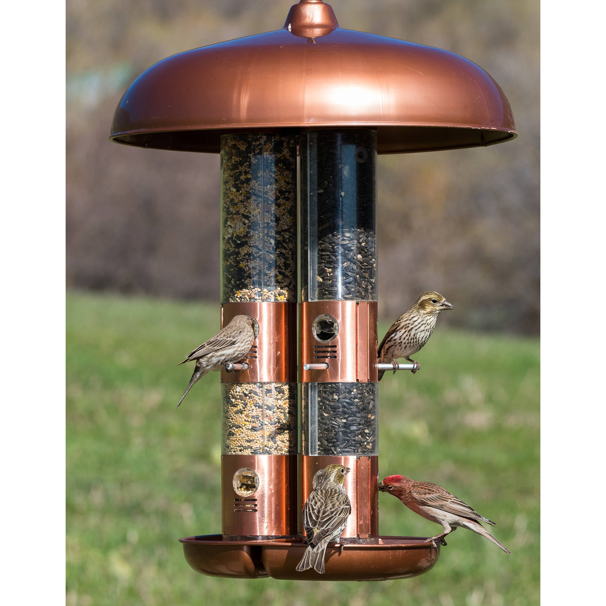 Perky-Pet 10 lb Copper Finish Triple Tube Bird Feeder