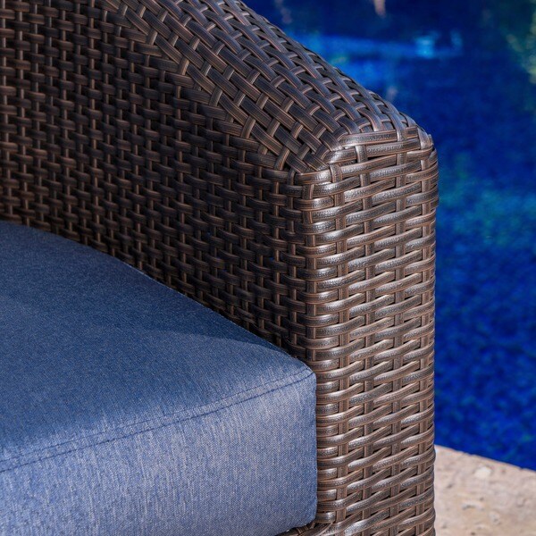 Darius Outdoor Wicker Aluminum Swivel Club Chair with Cushion (Set of 2) by Christopher Knight Home