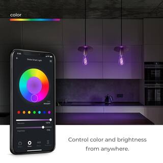 Globe Electric 7-Watt (60-Watt Equivalent) ST19 Shape E26 Base Wi-Fi Smart LED Light Bulb Multi-Color Changing RGB Tunable White 91000193