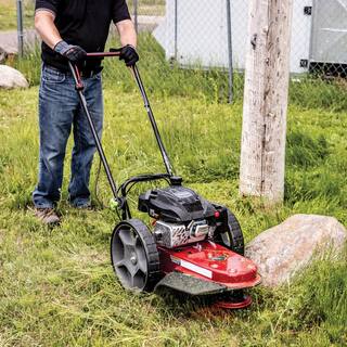 Earthquake 22 in. Cutting Width with 160cc 4-Cycle Gas Viper Engine Walk Behind String Mower 40314