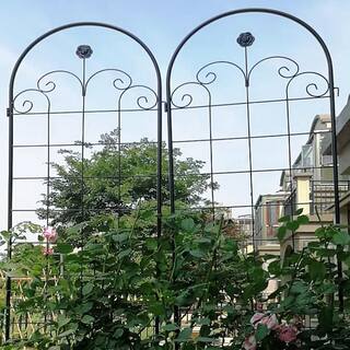 Zeus  Ruta 86 .7'' Black 4 Pack Metal Garden Trellis for Climbing Plants Outdoor LH-999