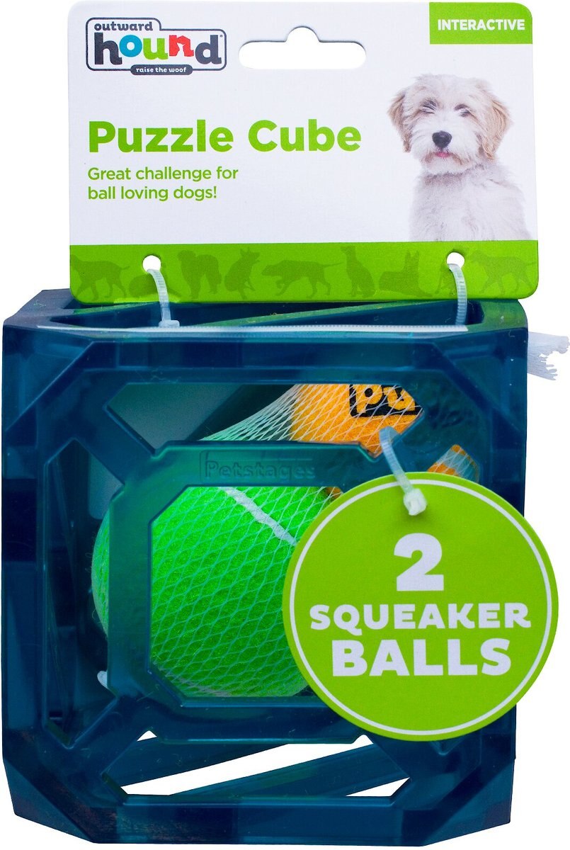 Outward Hound Puzzle Cube Interactive Dog Toy