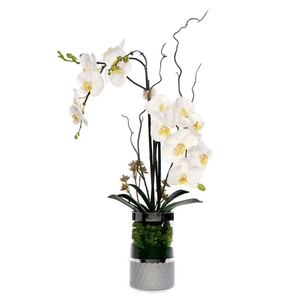 White Orchid Arrangement in Silver Cylinder Glass Vase