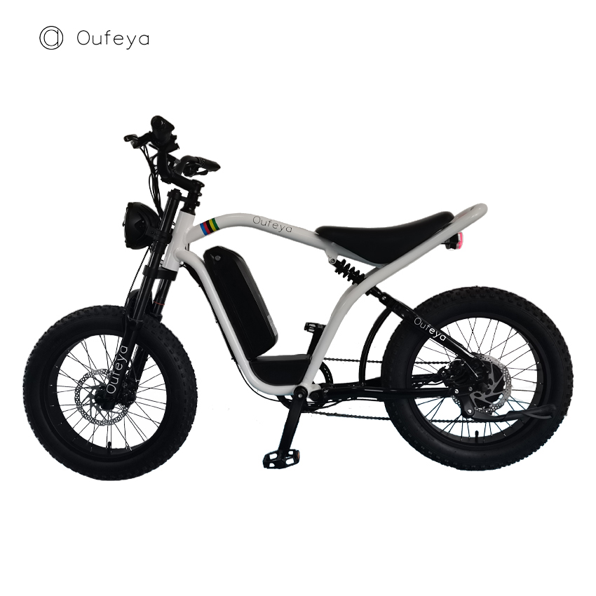 Full Suspension EU Warehouse Retro eBike 1000w E Fatbike Stealth Bomber 1000 Watt 20inch Fat Tire Electric Bike for Men Woman