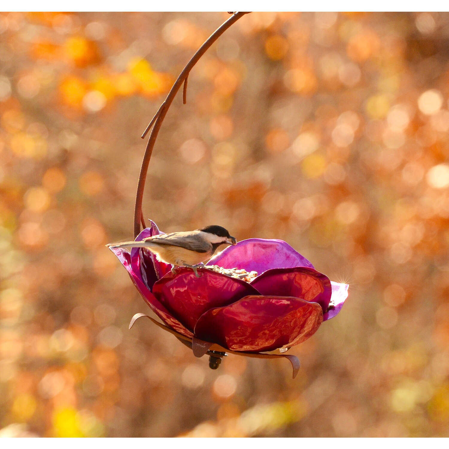 Desert Steel Songbird 16 oz Steel Crab Apple Bird Feeder 1 ports