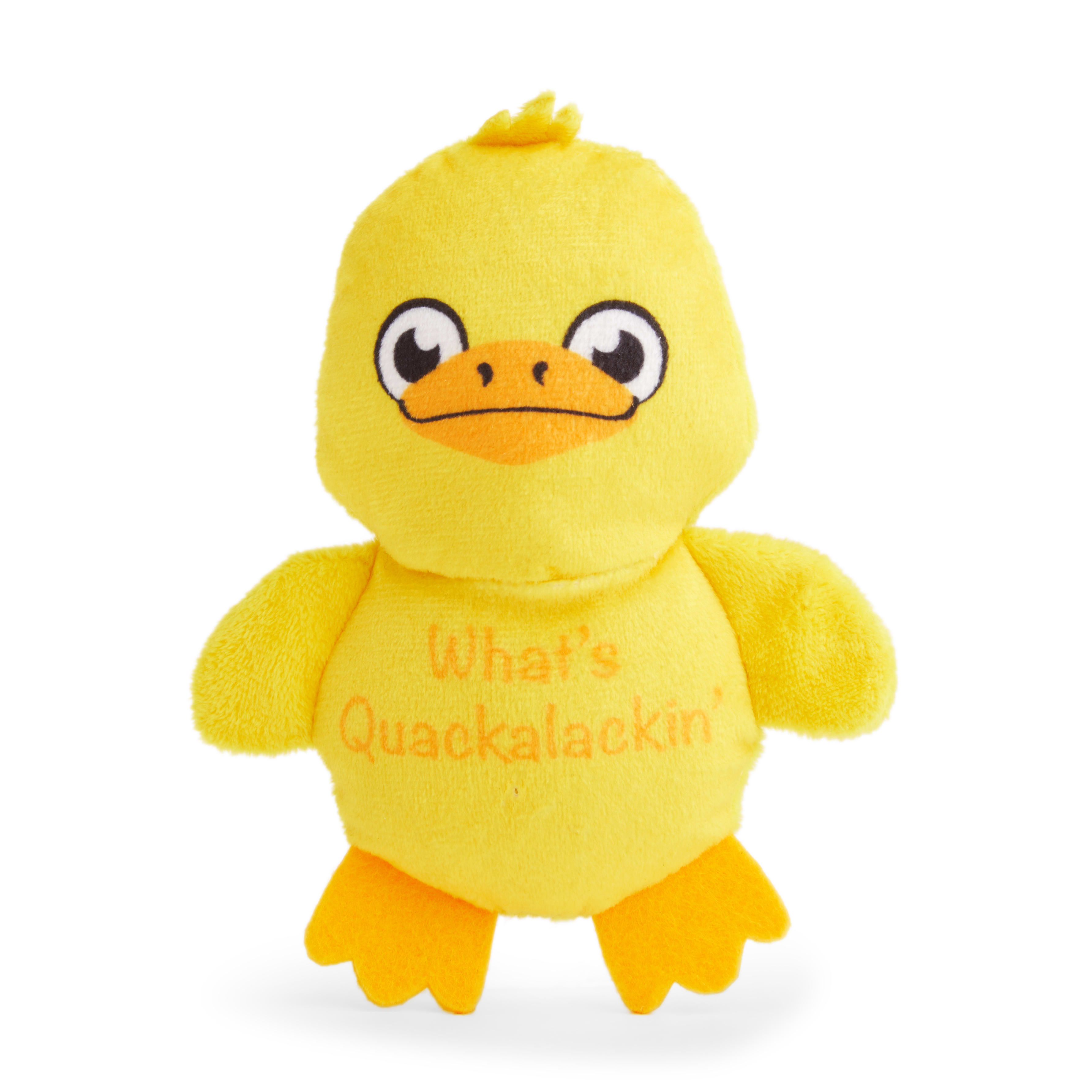 Petco Plush Duck Dog Toy， Small