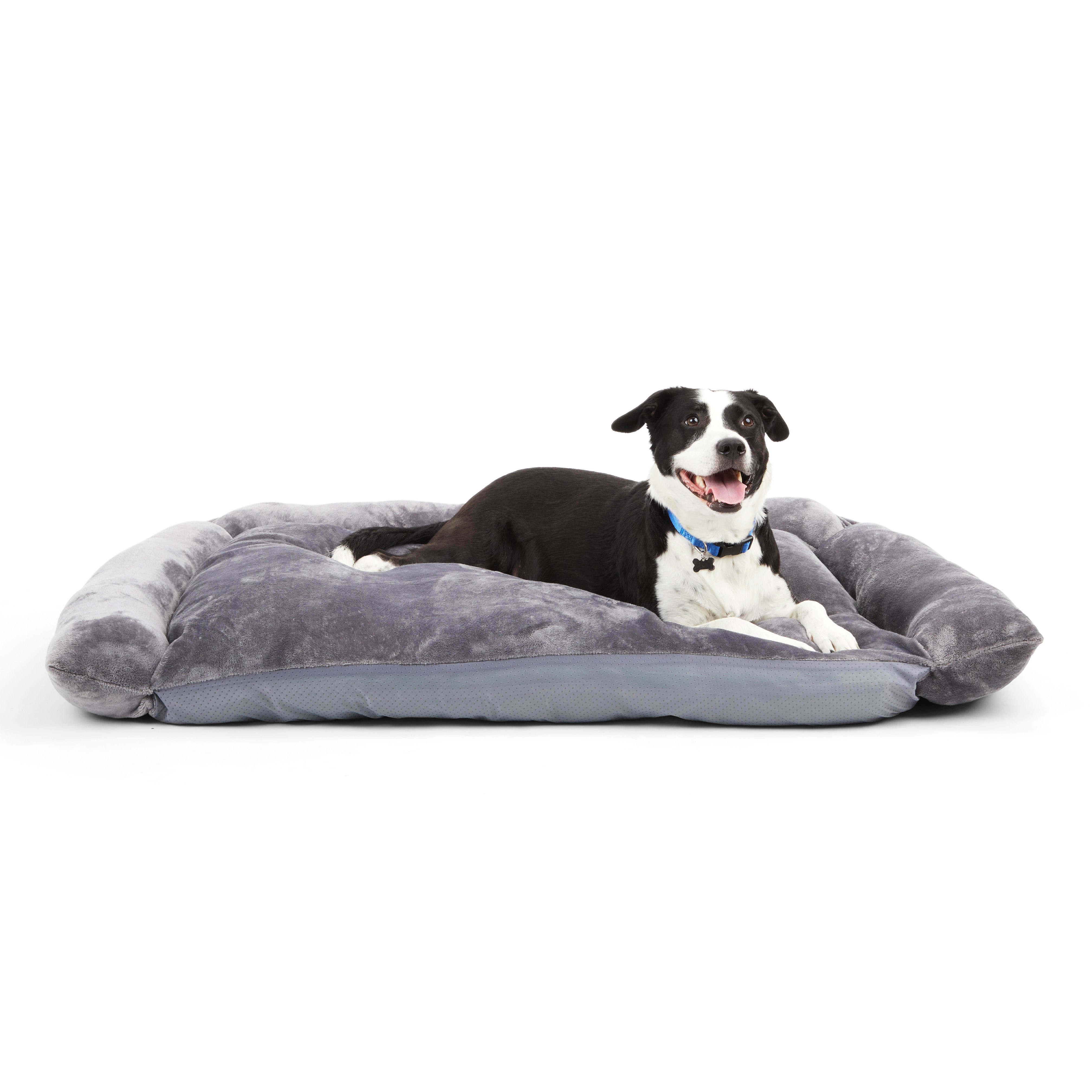 EveryYay Snooze Fest Grey Sofa Bed for Dogs， 48