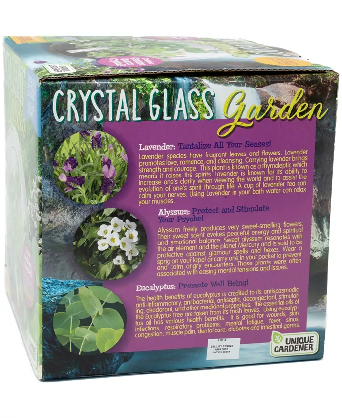 Areyougame Unique Gardener Glass Terrarium Crystal Glass Garden Plant Kit