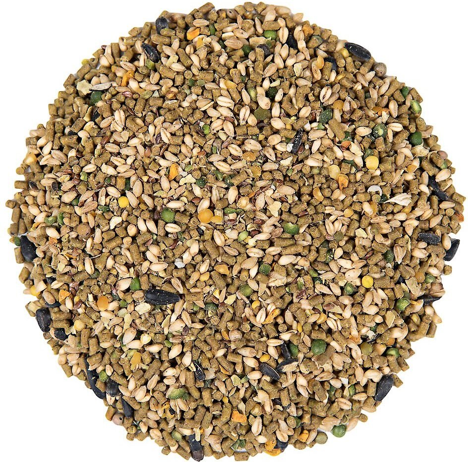 Small Pet Select Corn， Soy and GMO Free Poultry Layer Feed