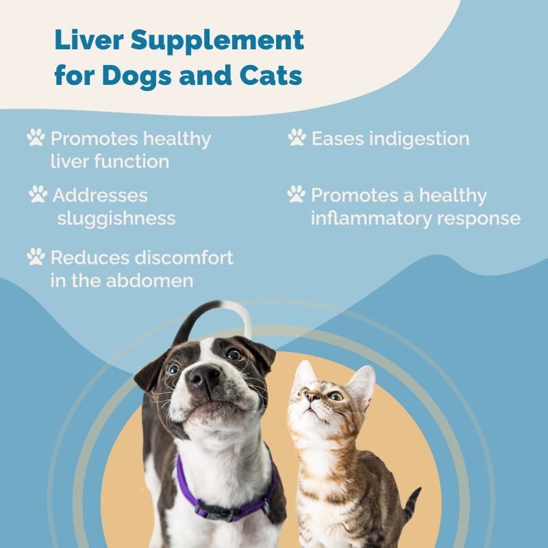 Prana Pets Liver Function Support Liquid Cat and Dog Supplement， 2-oz bottle