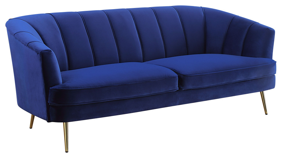 ACME Eivor Sofa  Blue Velvet   Midcentury   Sofas   by Acme Furniture  Houzz