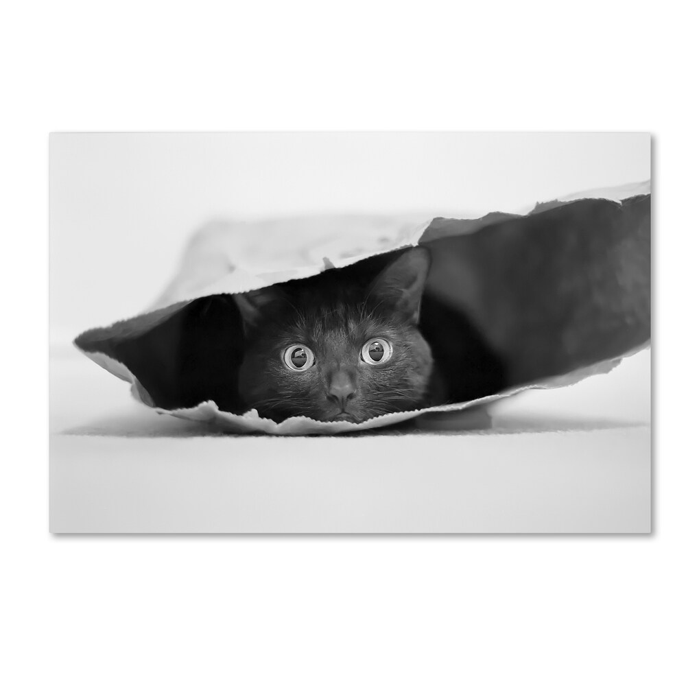 Jeremy Holthuysen 'Cat in A Bag' Canvas Art