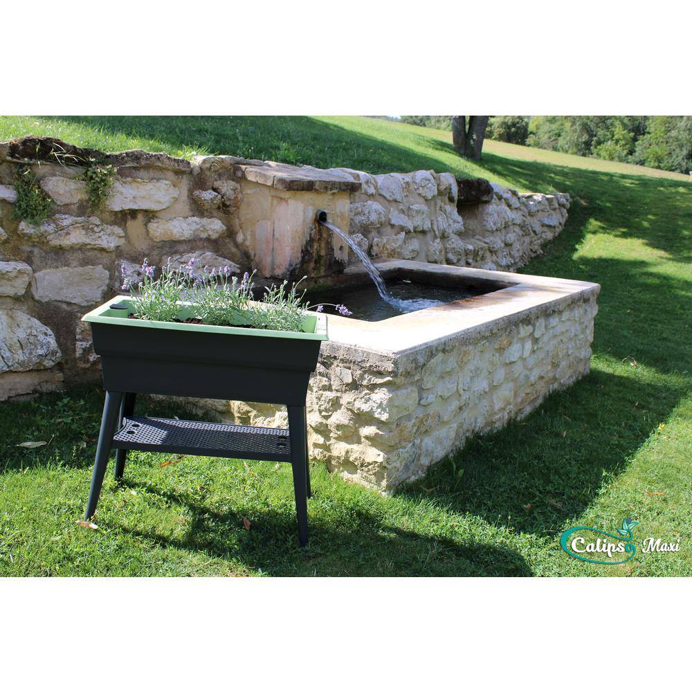 Bosmere English Garden Maxi 32 in. L x 15 in. W x 31-12 in. H Self Watering Plastic Raised Garden Bed L770