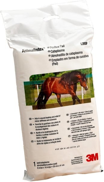 3M Animalintex Horse Poultice