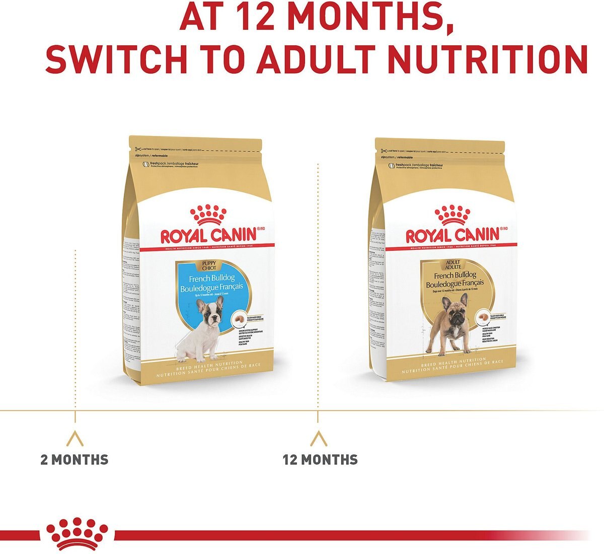 Royal Canin Breed Health Nutrition French Bulldog Puppy Dry Dog Food