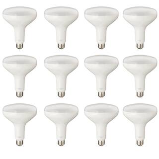 PRIVATE BRAND UNBRANDED 75-Watt Equivalent BR40 Dimmable LED Light Bulb Soft White (12-Pack) BR40-1D 12W E26