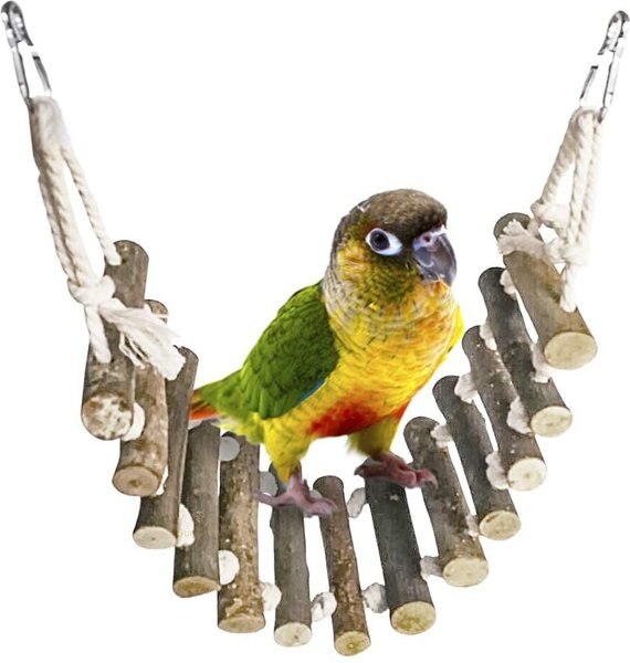 SunGrow Parakeet and Bearded Dragon Ladder Rope Bridge Bird and Reptile Toy