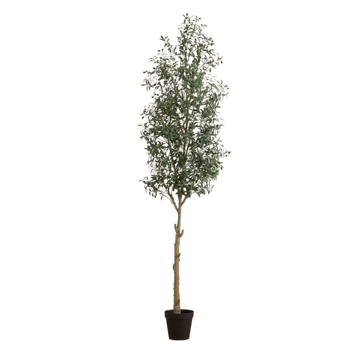 10' Faux Olive Tree | Mediterranean-Inspired Decor – Ed's Plant Shop