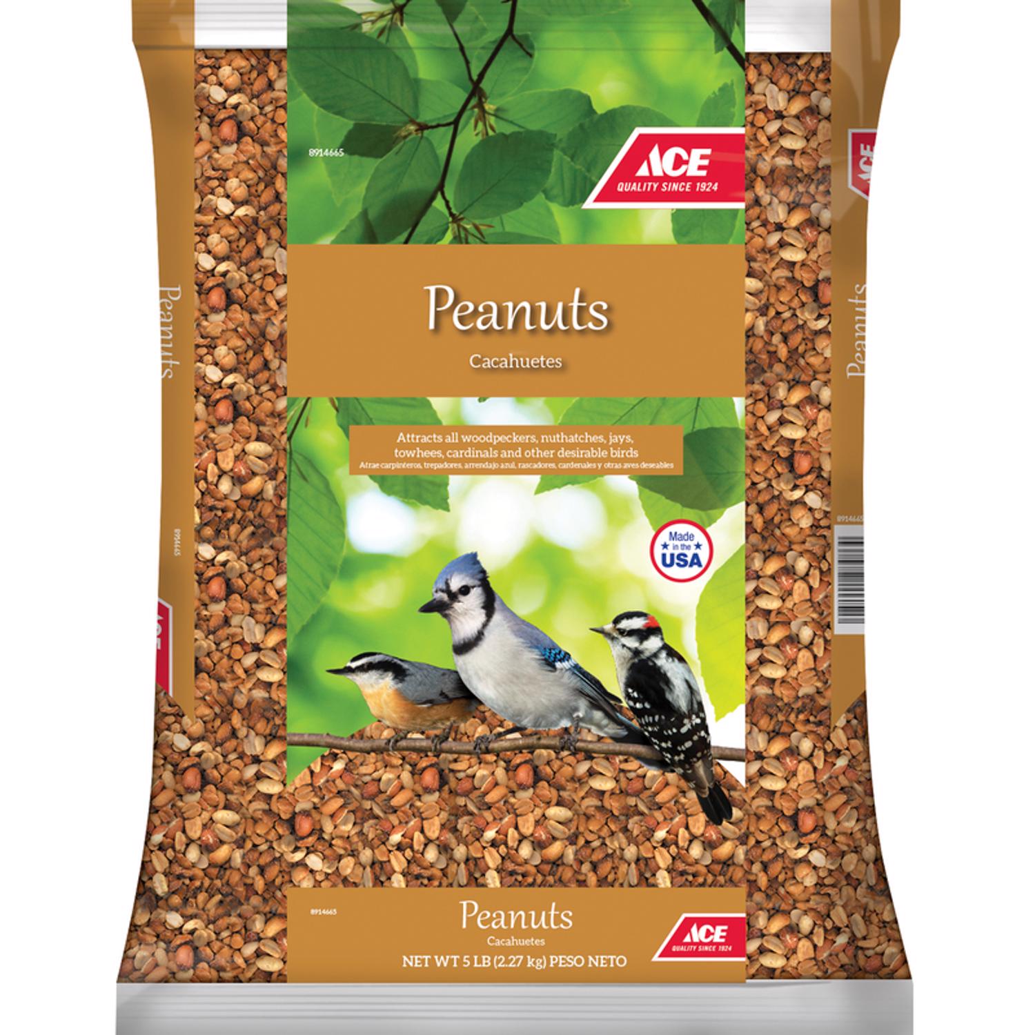 Ace Songbird Peanut Pieces Shelled Peanuts 5 lb