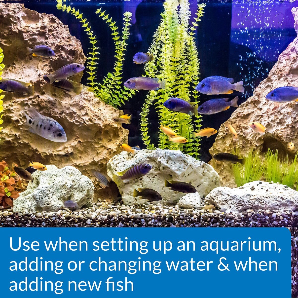 API Quick Start Freshwater and Saltwater Aquarium Water Treatment