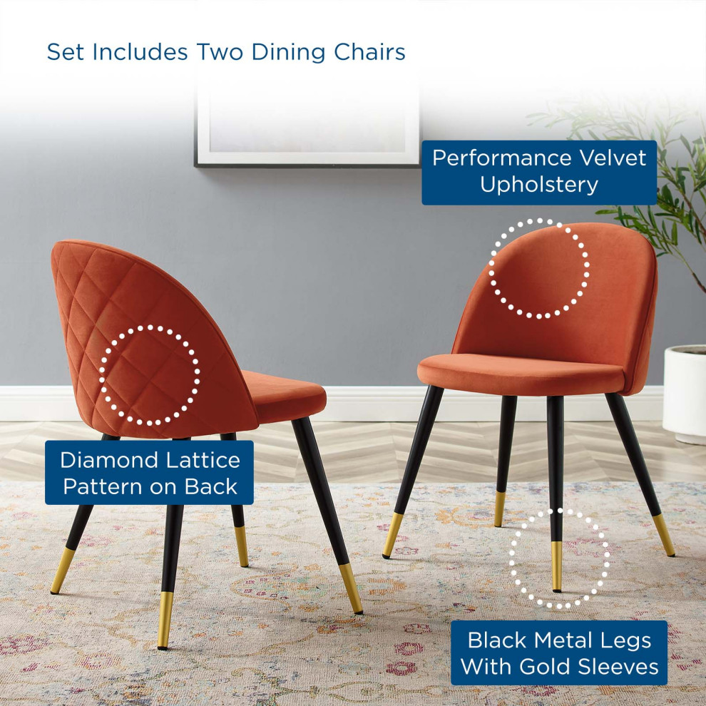 Modway Cordial Performance Velvet dining chairs Set of 2   Midcentury   Dining Chairs   by Morning Design Group  Inc  Houzz