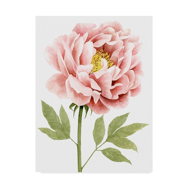 Grace Popp x27 watercolor Peony I x27 Canvas Art Trademark Fine Art