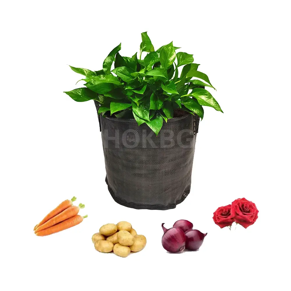 HOKBG SAMPLE 72 Gallons cheap price Wholesale Eco friendly plastic Fabric Garden Planter Bags for begonia plants