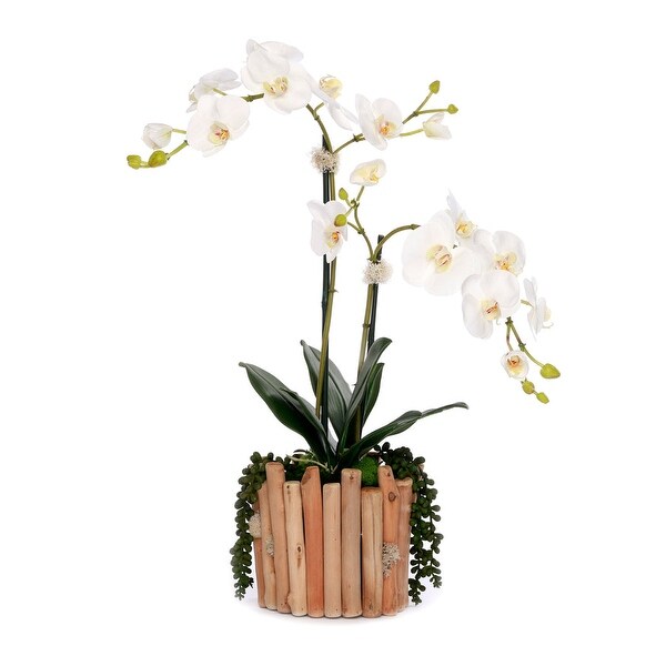 Real Touch Orchids in Glass Vase Wood Branches Planter