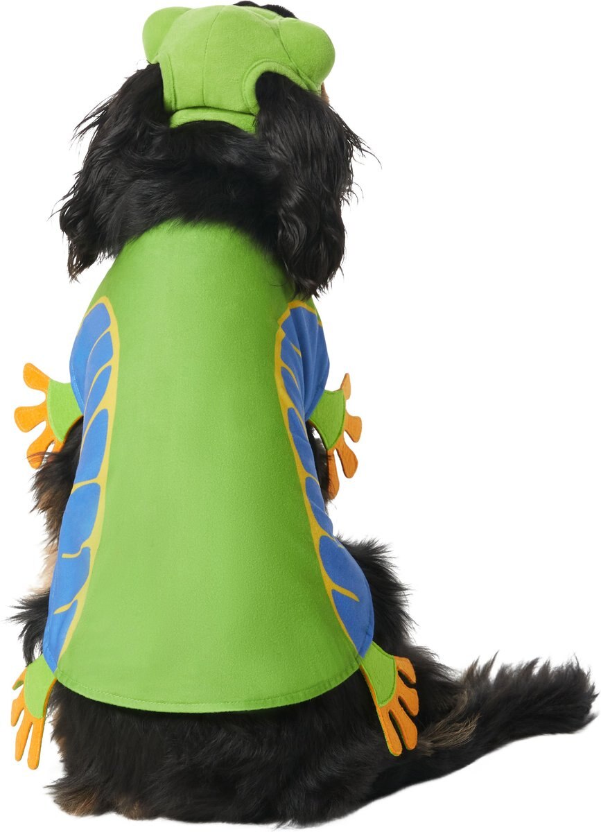 Frisco Frog Dog and Cat Costume