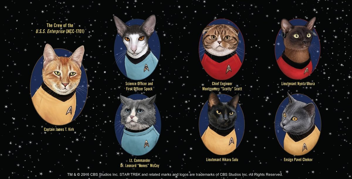 Star Trek Cats