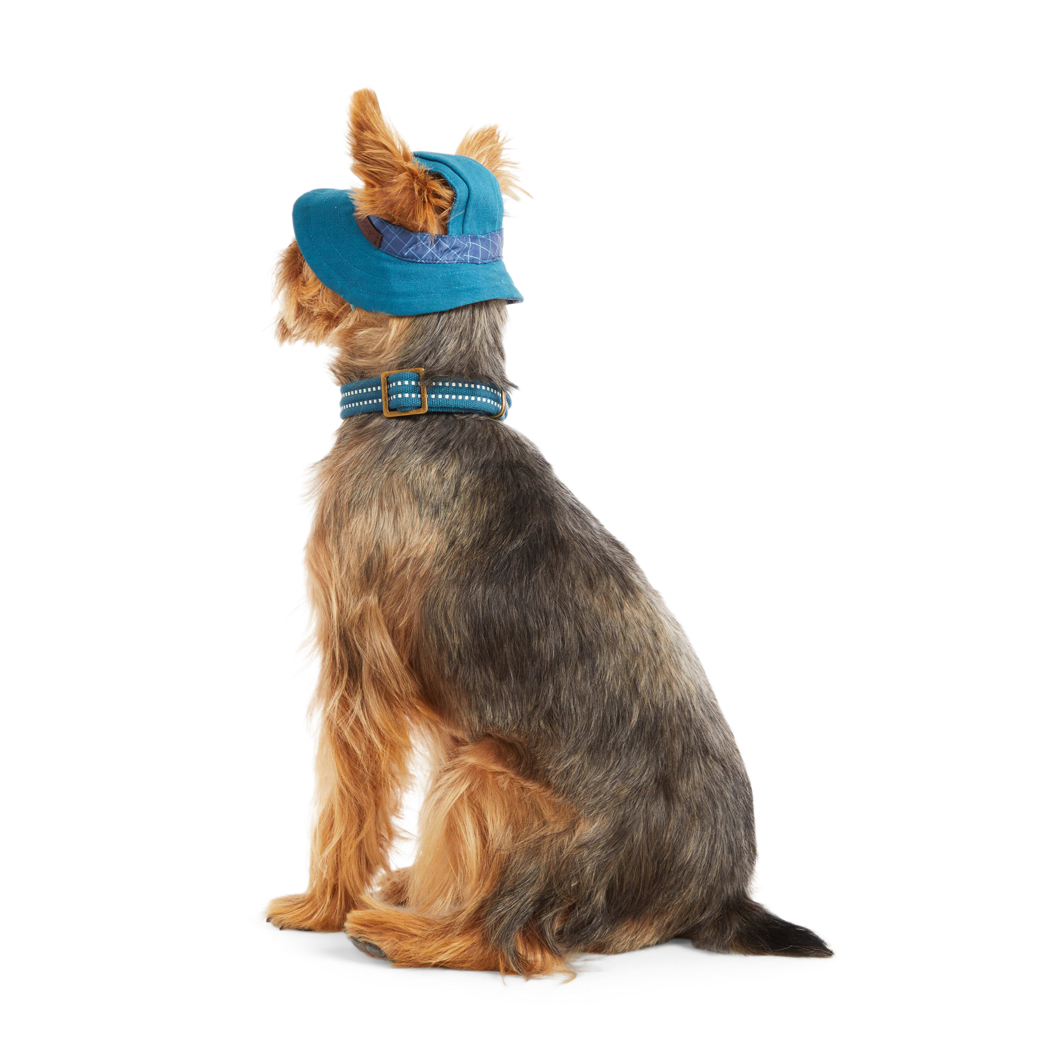 REDDY Navy Bucket Dog Hat， X-Small/Small