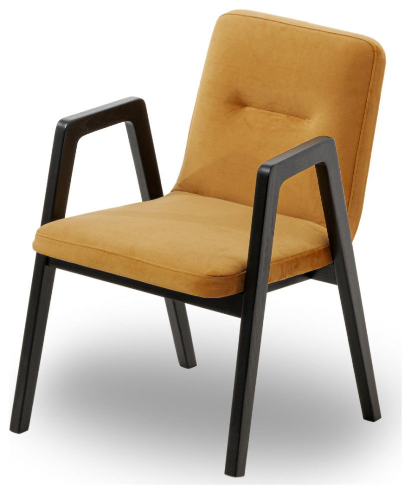 Brown Orange Velvet Dining Chair  Liang  ampEimil Benson   Midcentury   Dining Chairs   by Oroa   Distinctive Furniture  Houzz