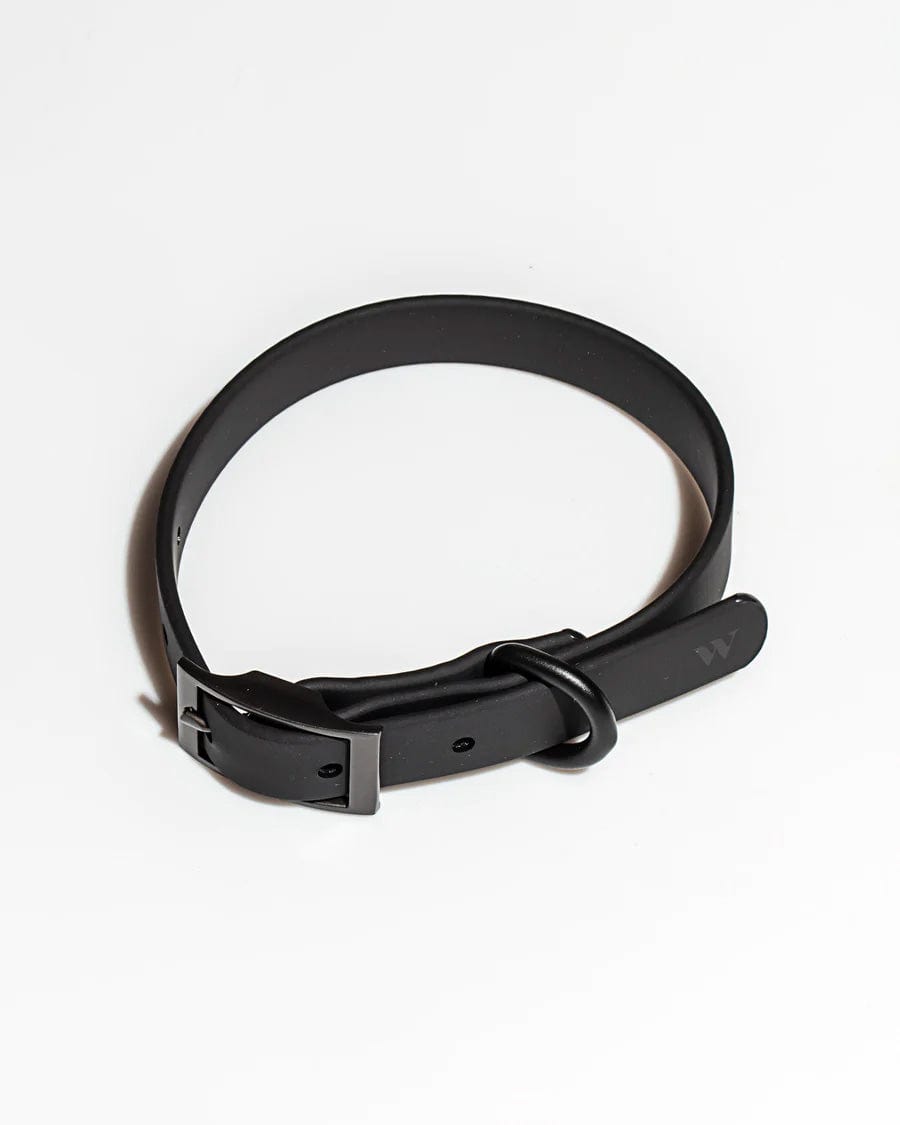 Wild One Pet Collar