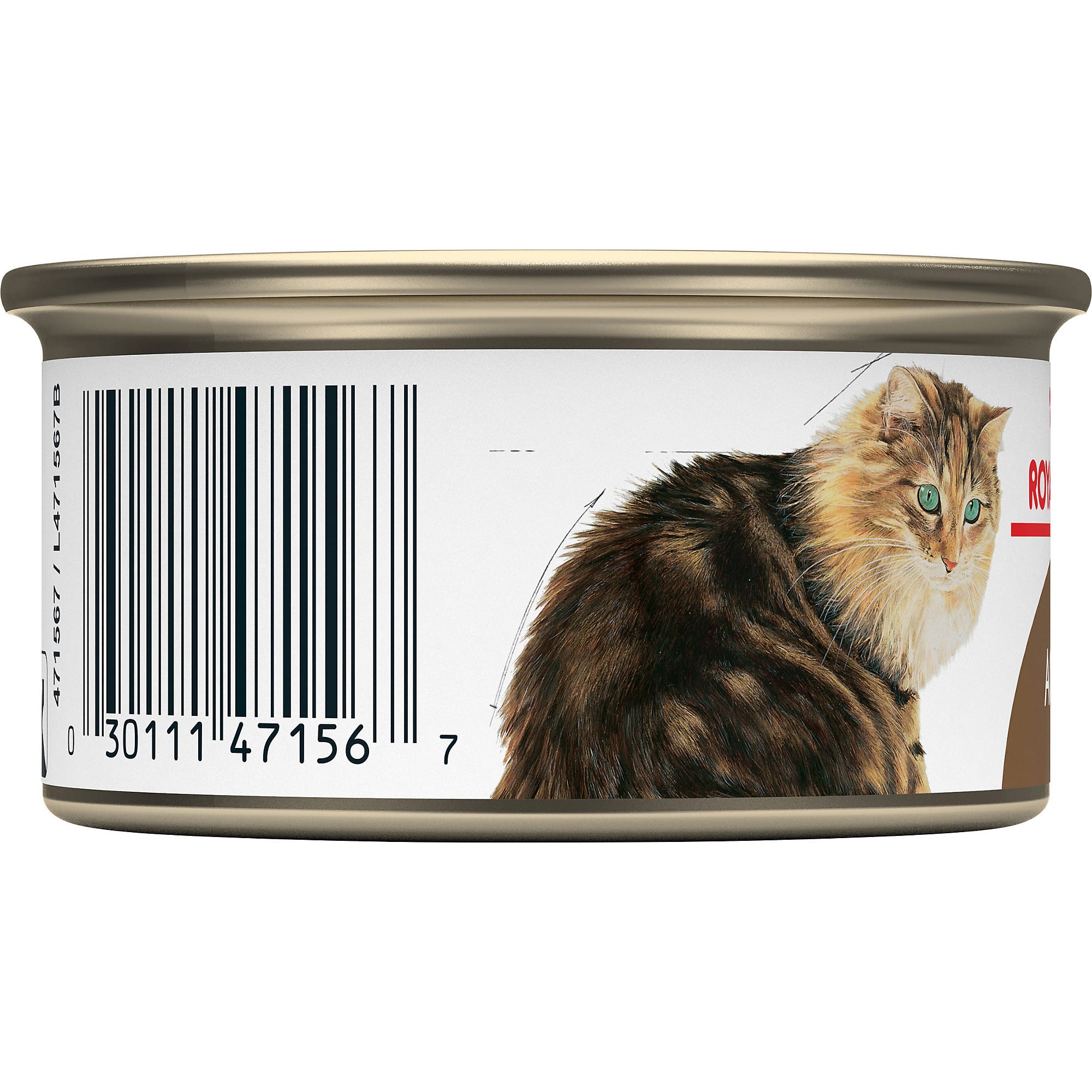 ROYAL CANIN Aging 12+ Thin Slices in Gravy Canned Wet Cat Food， 3 oz.， Case of 24