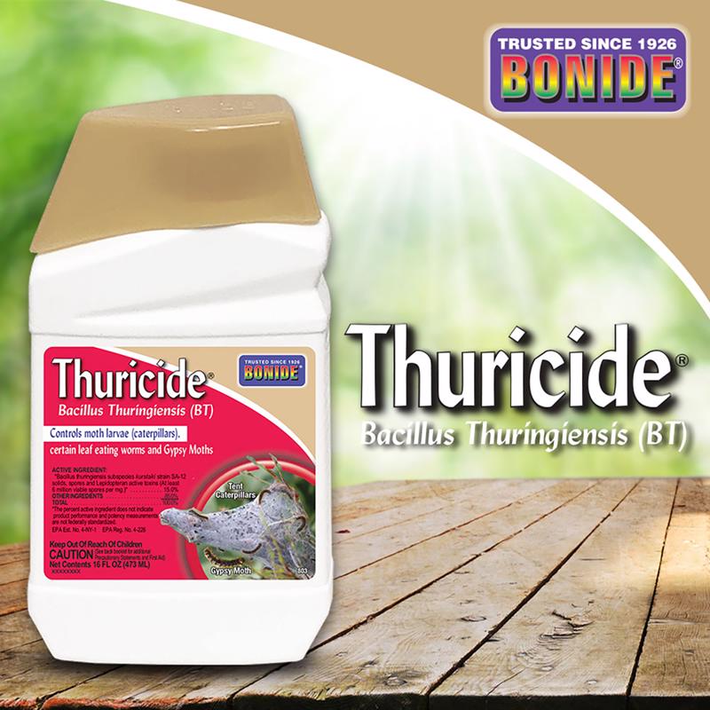 THURICIDE BT CONC 16OZ