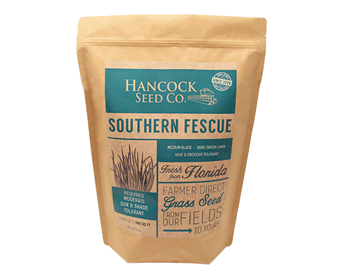 Hancocks Southern Fescue， 5 lb. Bag