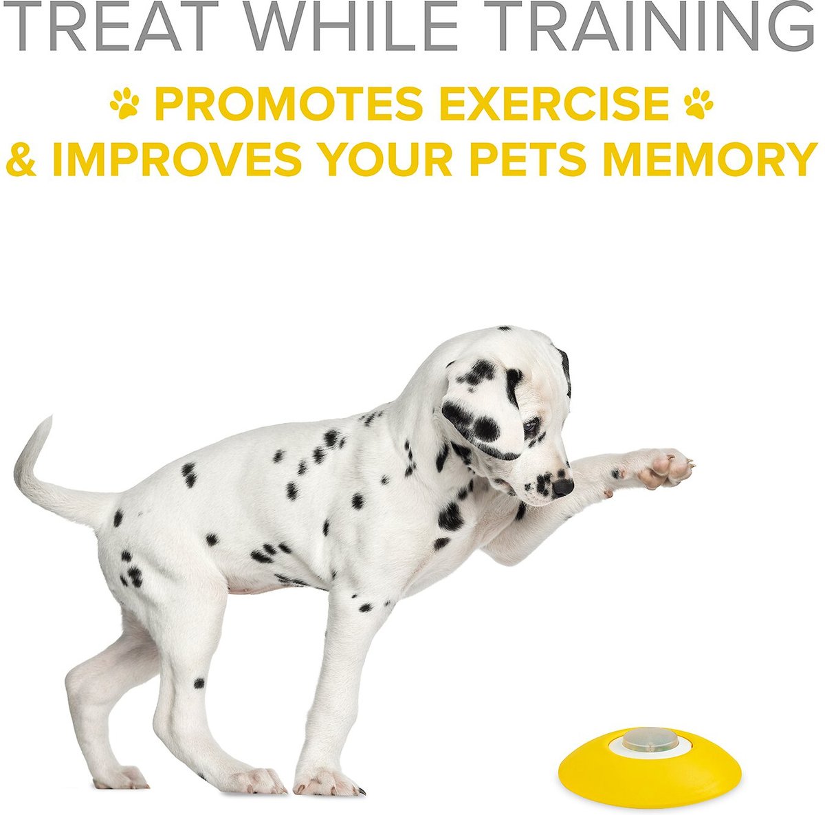 Arf Pets Memory and Training Activity Dog Treat Dispenser