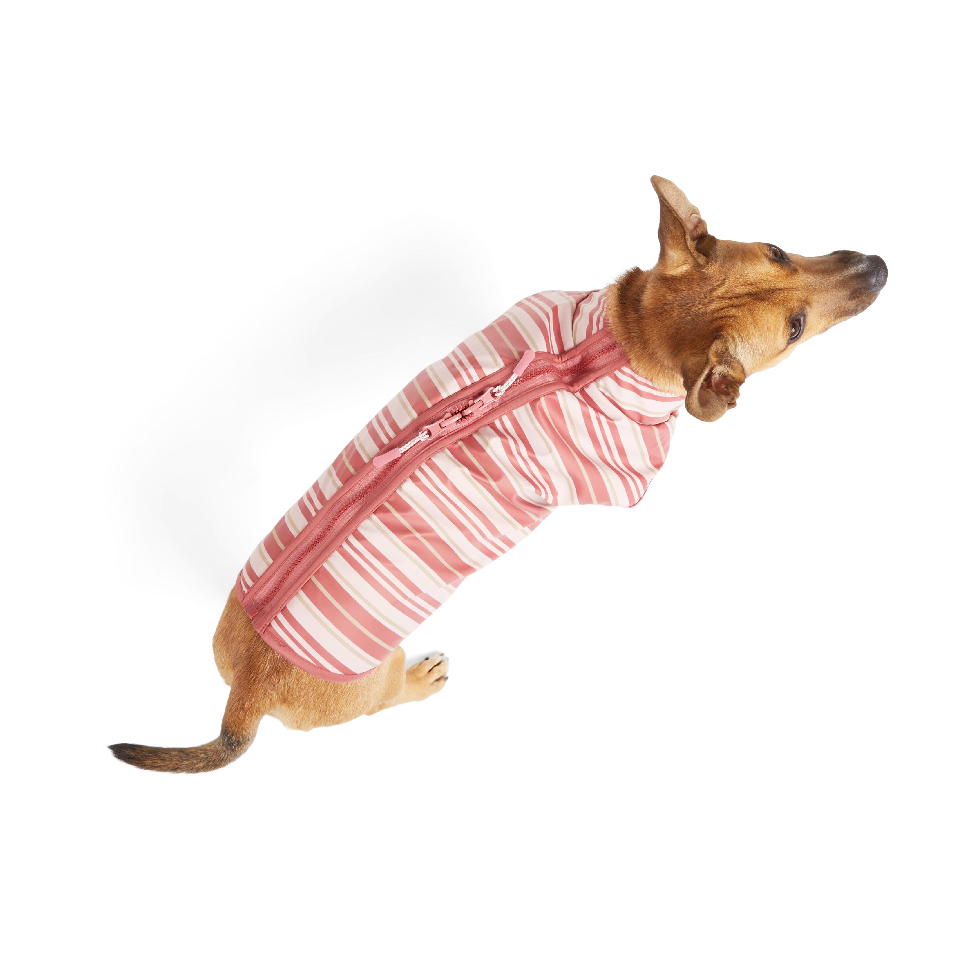 YOULY Pink Reversible Stripe Pet Jacket， XX-Small