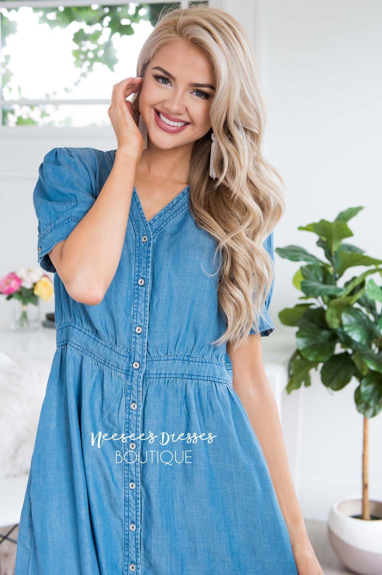 The Savannah Denim Dress