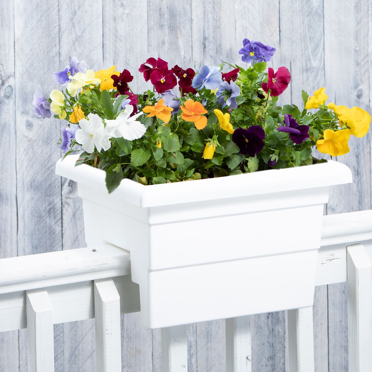 Novelty Countryside Railing Planter (#26162) White, 16"