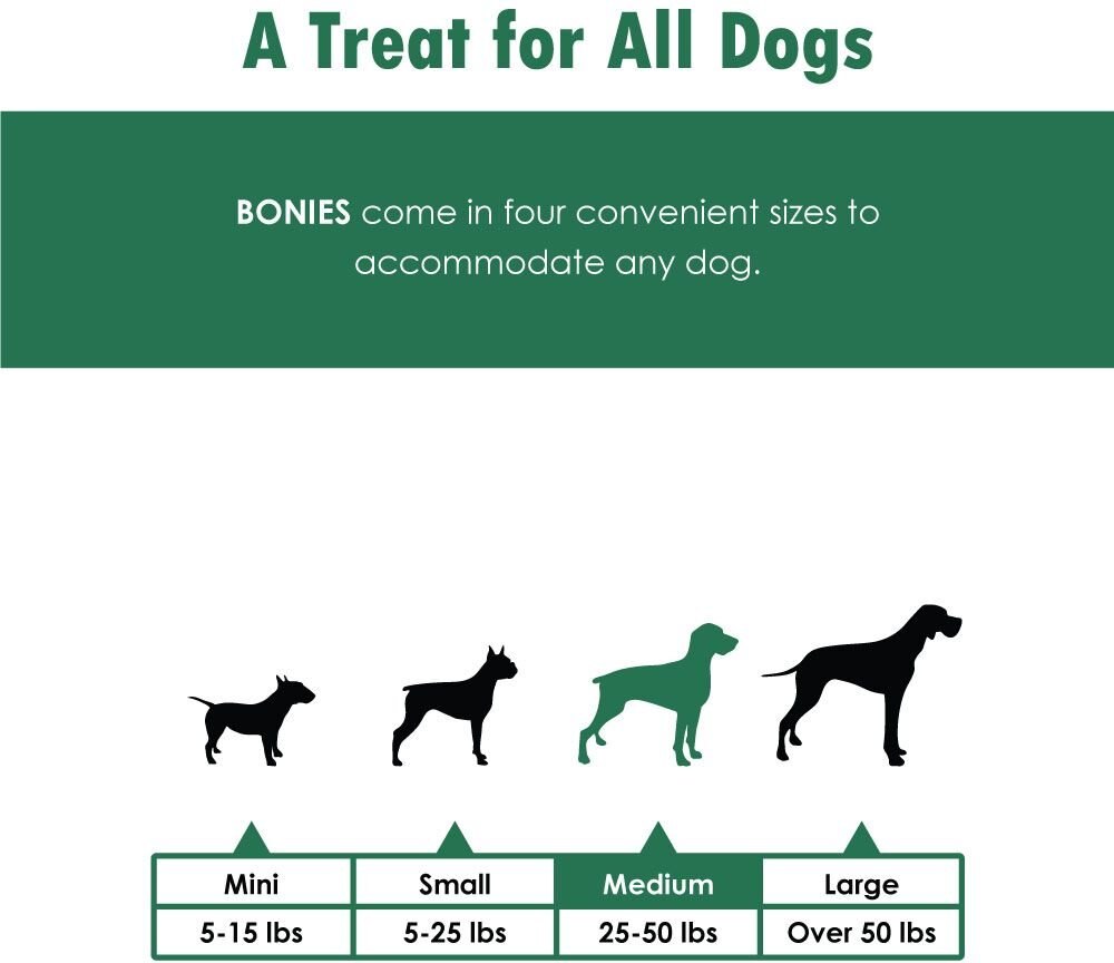 BONIES Hip and Joint Formula Medium Dog Treats