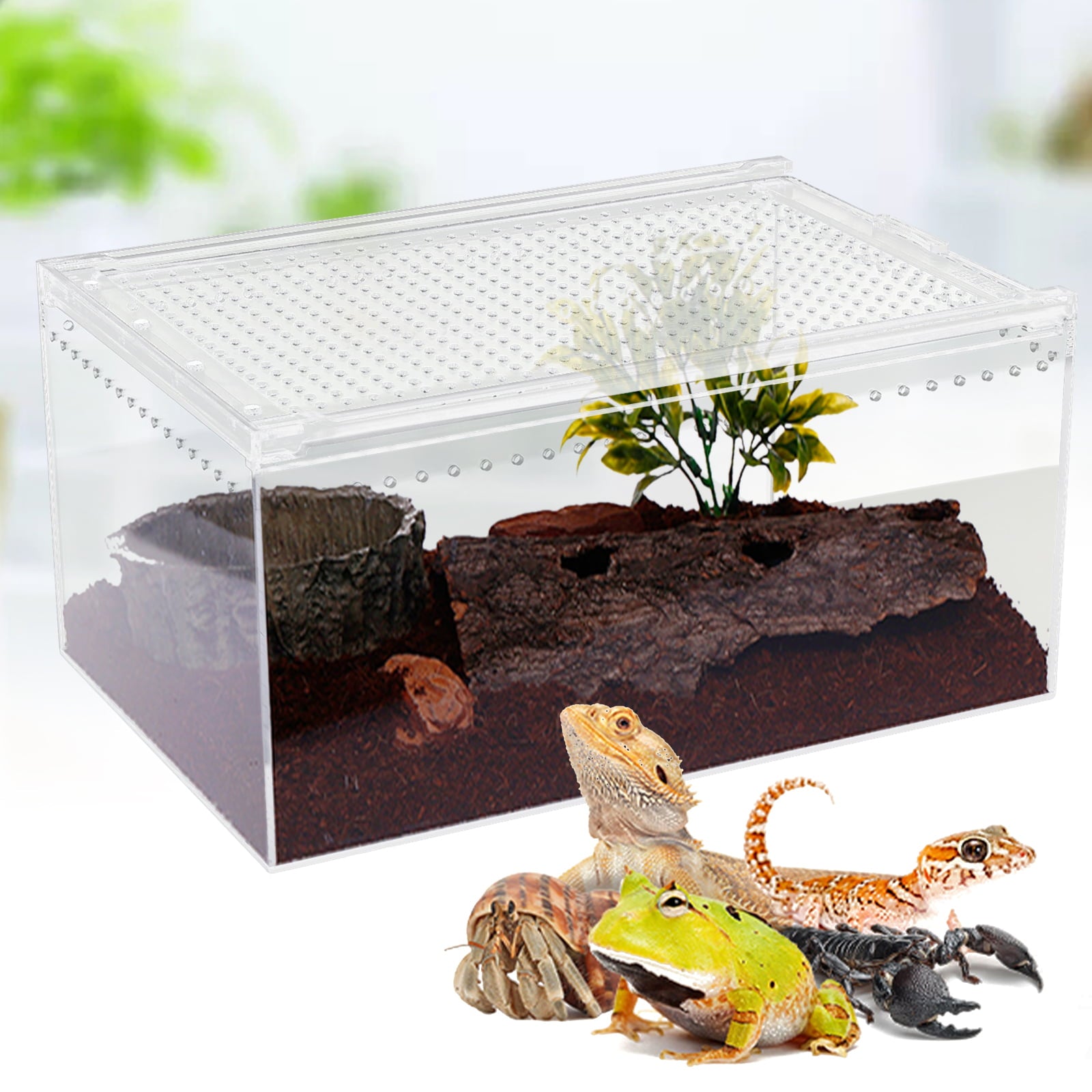 Reptile Feeding Box Snake Breeding Box Transparent Animal Habitat Cage Portable Plastic Turtle Transport Container for Bearded Dragon Lizard Spider Frog Scorpion Gecko