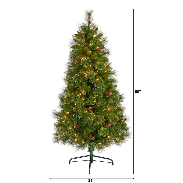 3' Golden Tip Washington Pine Christmas Tree with 50 Clear Lights