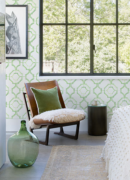 Gallina Green Trellis Wallpaper from the Happy Collection