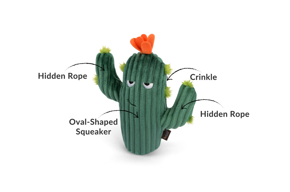 P.L.A.Y. Blooming Buddies Collection Prickly Pup Cactus Toy for Dogs