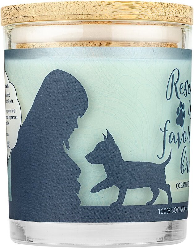 Pet House Ocean Breeze Natural Soy Sentiment Candle